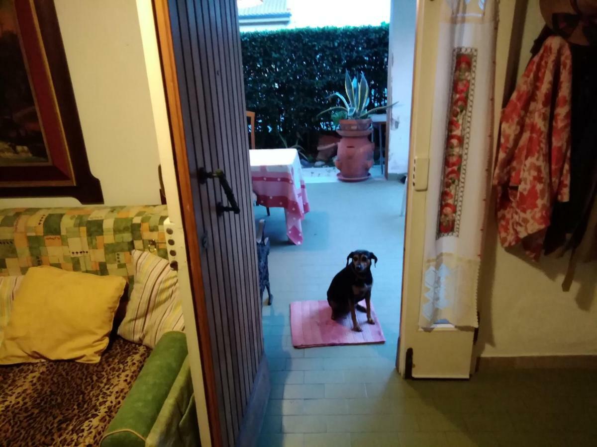 Villetta Stella Cecina  Buitenkant foto
